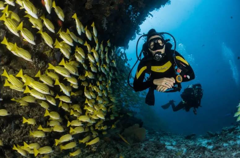 Buceo en las islas Maldivas - Crédito de la imagen - sebaspenalambarri