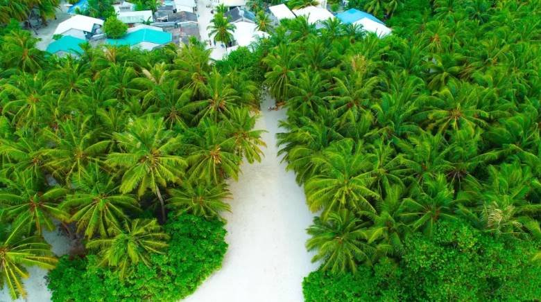 Excursiones de isla en isla en Maldivas - Crédito de la imagen - itte
