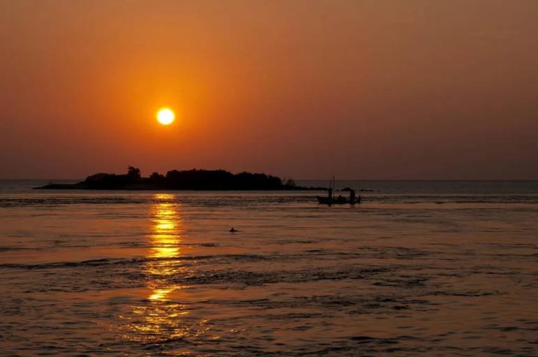 Excursiones en crucero con delfines, amanecer y atardecer en las Maldivas
