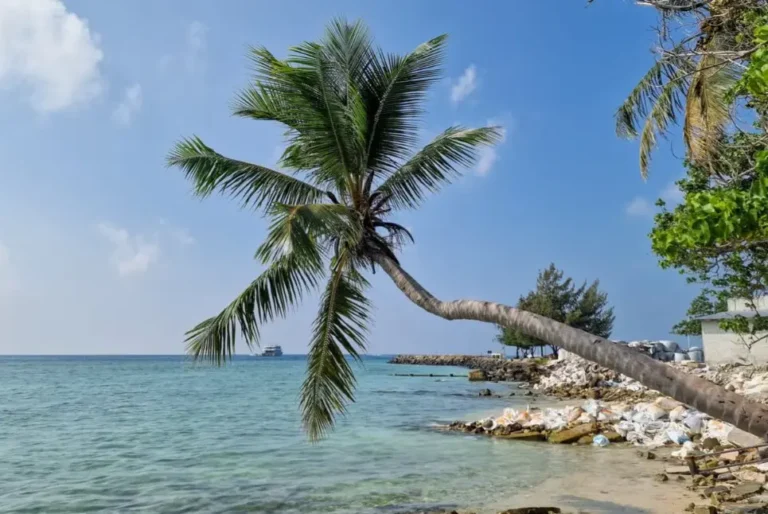 Excursión a las islas de Gulhi y Maafushi